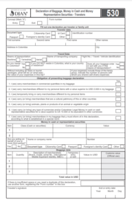 DIAN 530 form