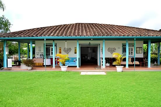 Coffe Farm house in Armenia- Quindio