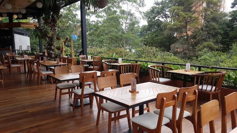 7111 dd518d6e0856 768x432